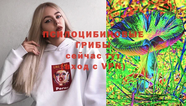 мяу мяу мука Абдулино