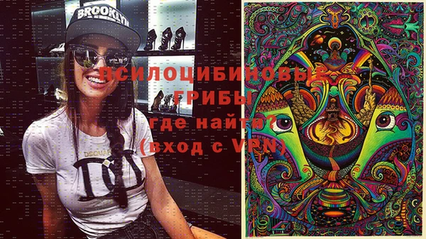 мяу мяу мука Абдулино