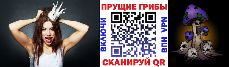 Псилоцибиновые грибы мицелий shop клад Зарайск